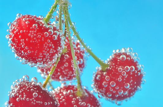 Cherry and bubbles in water