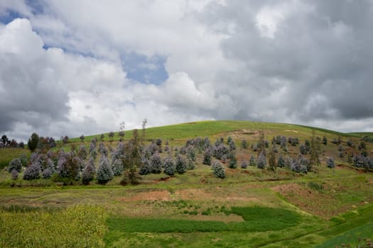 green grass field against a cloudy sky