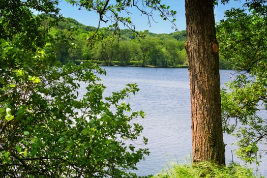 View of the Abtskuecher pond in Heiligenhaus, Germany.