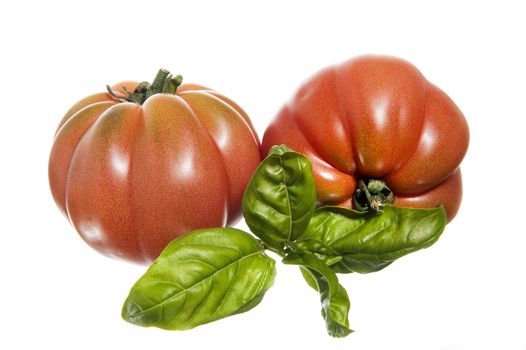  two ripe tomatoes and basil on isolated background