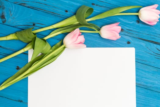 top view beautiful pink tulips and sheet of paper for your greetings on the background of blue wooden board