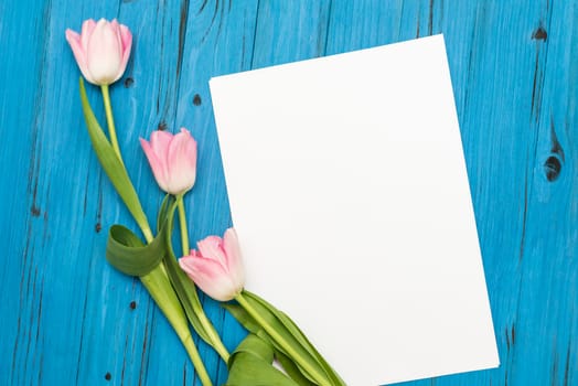 top view beautiful pink tulips and sheet of paper for your greetings on the background of blue wooden board