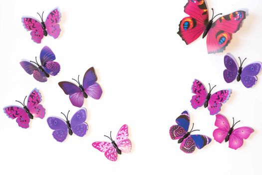 Pink and violet butterfly isolated on white background