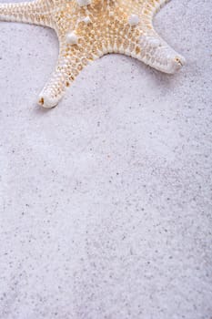 White starfish on a grey sand background