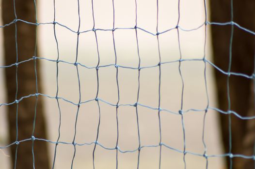 Handball net with two trunks of palm and Indian Ocean in the background