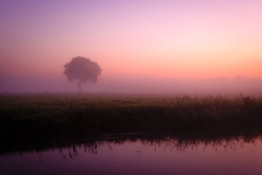 foggy morning landscape with beautiful colors reflected in the water