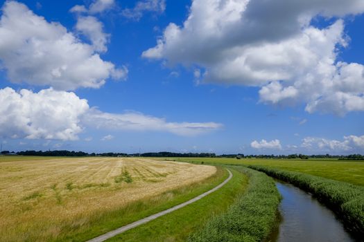 agricultural landscape with wheat and a stream against a blue sky with clouds