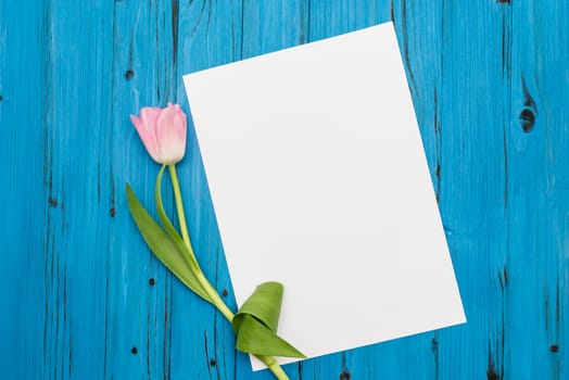 top view of one pink tulip and sheet of paper for your greetings on the background of blue wooden board