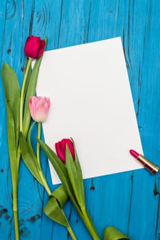 top view of red and pink tulips, lipstick and sheet of paper for your greetings on the background of blue wooden board