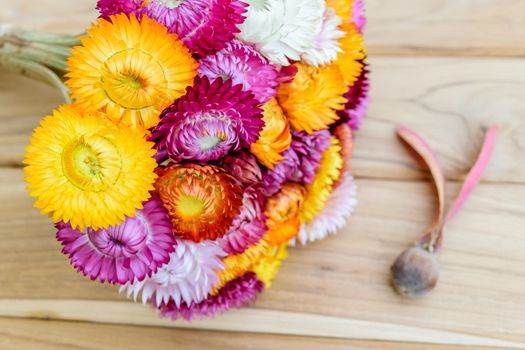 Beautiful strawflowers on wooden table