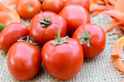 Ripe red tomatoes on flowers