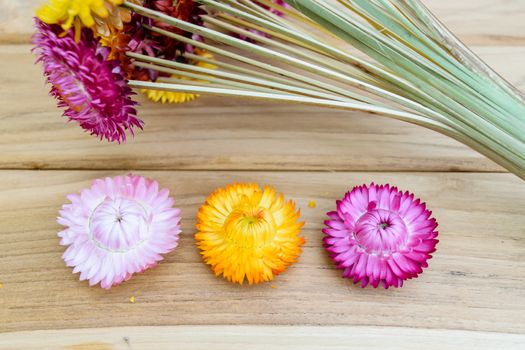 Beautiful strawflowers on wooden table