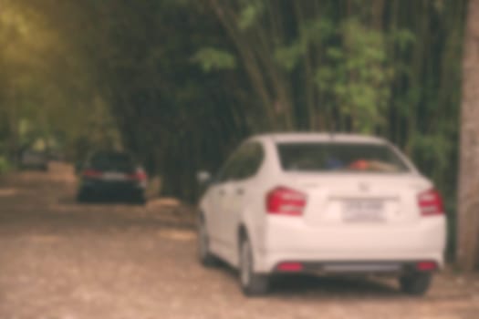 Cars traveling in the bamboo garden with a blurred image.