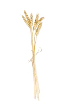 Bundle of the stalks of the ripe wheat with ears tied by a twine on a light background
