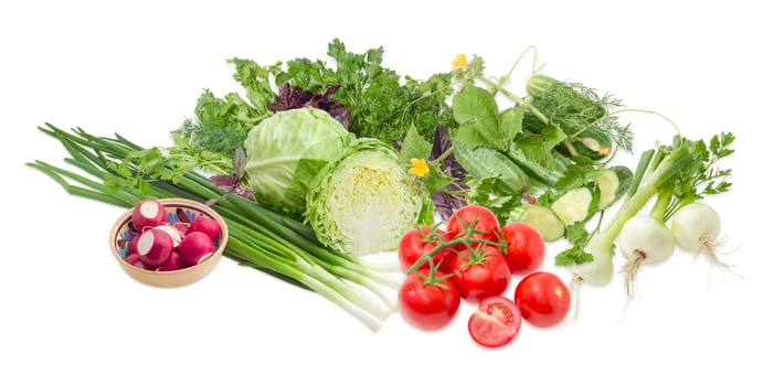 Pile of different early vegetables, like young white cabbage, tomatoes, onion bulbs, green onion, red radish, cucumbers and potherb, like parsley, dill, basil, cilantro on a light background
