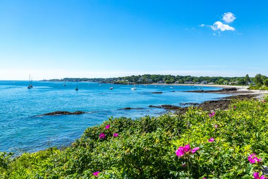 Looking across Simonton Cove from the Southern Maine Community College Campus in South Portland. Portland Head Light is in the distance.