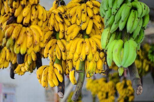 Green and yellow bananas in the asian market. Fruit selling in Malaysia 