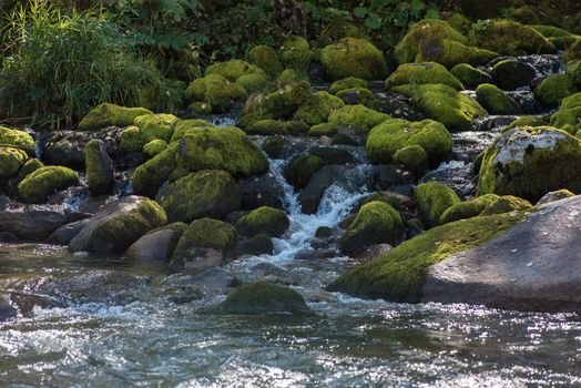 Fast mountain river with the purest water in Altay mountains, Siberia, Russia