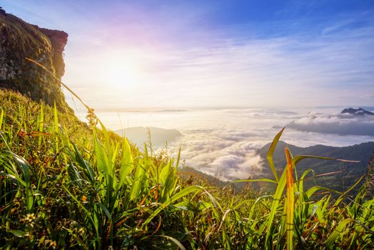 Beautiful landscape nature of sunrise on peak mountain with sun cloud fog and bright colors of sky in winter at Phu Chi Fa Forest Park is a famous tourist attraction of Chiang Rai Province, Thailand