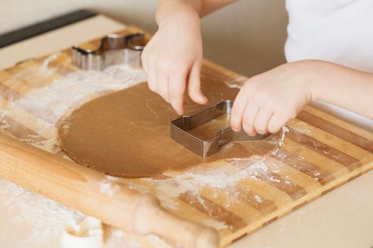 Master class for children on baking christmas cookies. Young children learn to cook a honey-cake. Kids preparing homemade gingerbread. Little cook.