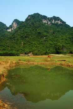 Beautiful countryside of Quang Binh, Viet Nam on day with green agriculture field near  mountains chain, fresh air, eco green make nice destination when travel to Vietnam