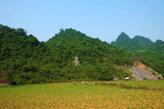 Beautiful countryside of Quang Binh, Viet Nam on day with green agriculture field near  mountains chain, fresh air, eco green make nice destination when travel to Vietnam