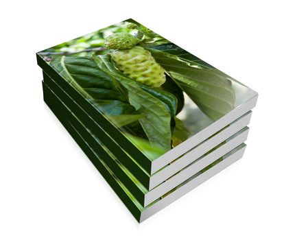 a books for noni fruit on the tree