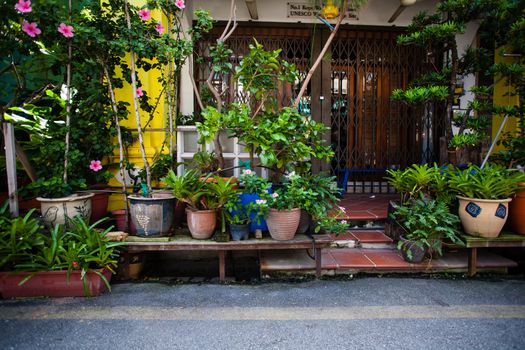 Penang, Malaysia architecture narrow streets. Dirty moldy humidity cityscape