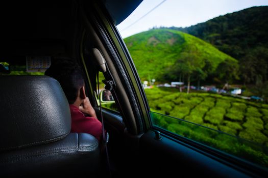 Tea plantations view from the car window. Cameron Highlands, Malaysia. Green hills landscape