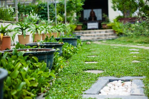 Plants, flowerpots, flowerbed the largest Buddhist temple in South East Asia: Kek Lok Si Malaysia