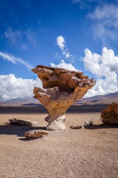 Arbol de Piedra in Siloli desert, sud Lipez reserva Eduardo Avaroa, Bolivia