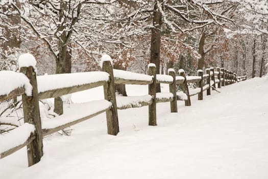 Split-rail fence with fresh snow and snow covered trees