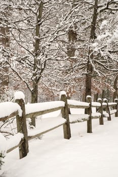 Split-rail fence with fresh snow and snow covered trees