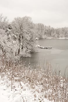 Pond and surrounding trees in fresh snow