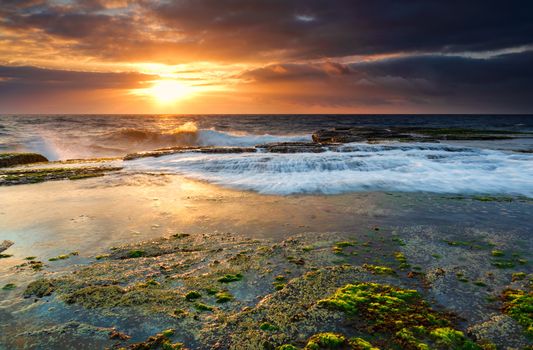 Low tide at north Narrabeen.  Bright green moss on the rocks as waves gently wash in.  Northern beaches, Sydney
