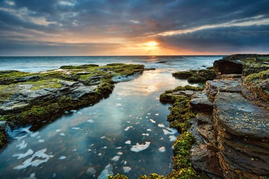 North Narrabeen reef exposed  in a low tide