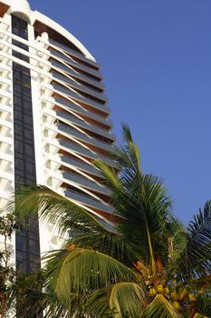 Closeup of modern skyscraper near palm against blue sky