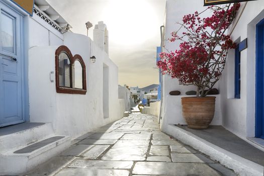 Oia town on Santorini island, Greece. Traditional and famous houses and streets in the city over the Caldera, Aegean sea