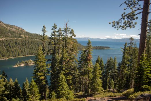 Lake Tahoe through trees