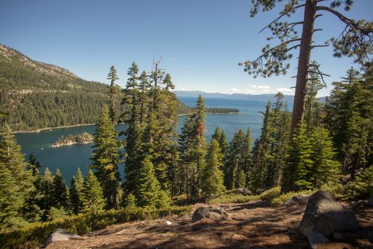 Lake Tahoe through trees