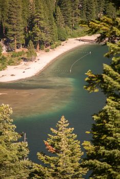 Lake Tahoe through trees with beach area