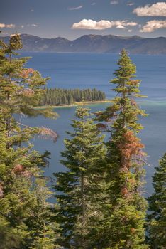 Lake Tahoe through trees with mountains in background