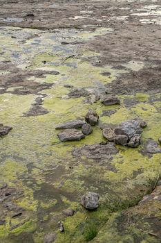 Tide pools at Falls On The Ohio State Park