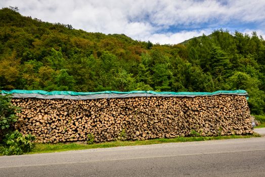 Firewood Log stacks along the forest road.