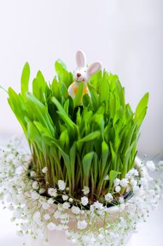 Bunny, eggs and white flowers. Easter symbols