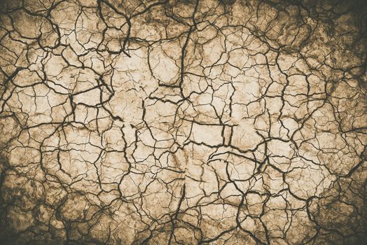 Extremely Dry Desert Soil Photo Background.