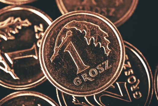 Polish Single Grosz Coin. Polish Currency Concept Photo.