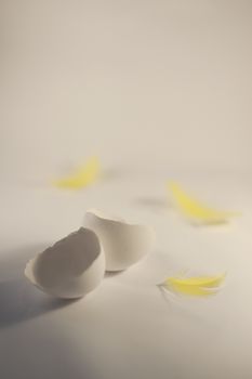an opened egg with three yellow feathers around it at easter