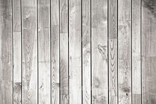 Light Wood Background. Wooden Planks Wall Backdrop Photo.