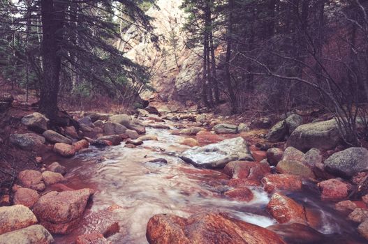 Scenic Colorado Forest River near Colorado Springs, USA. Rocky Forest Creek Scenery